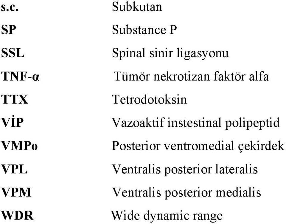 Vazoaktif instestinal polipeptid Posterior ventromedial çekirdek