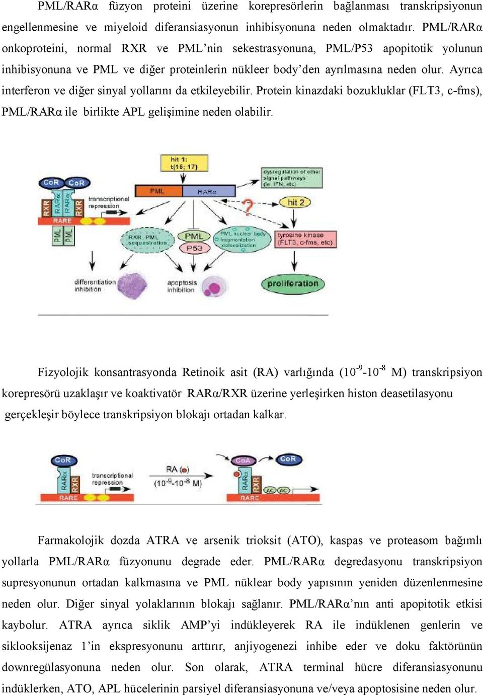 Ayrıca interferon ve diğer sinyal yollarını da etkileyebilir. Protein kinazdaki bozukluklar (FLT3, c-fms), PML/RARα ile birlikte APL gelişimine neden olabilir.