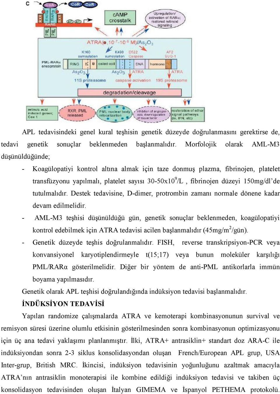 150mg/dl de tutulmalıdır. Destek tedavisine, D-dimer, protrombin zamanı normale dönene kadar devam edilmelidir.