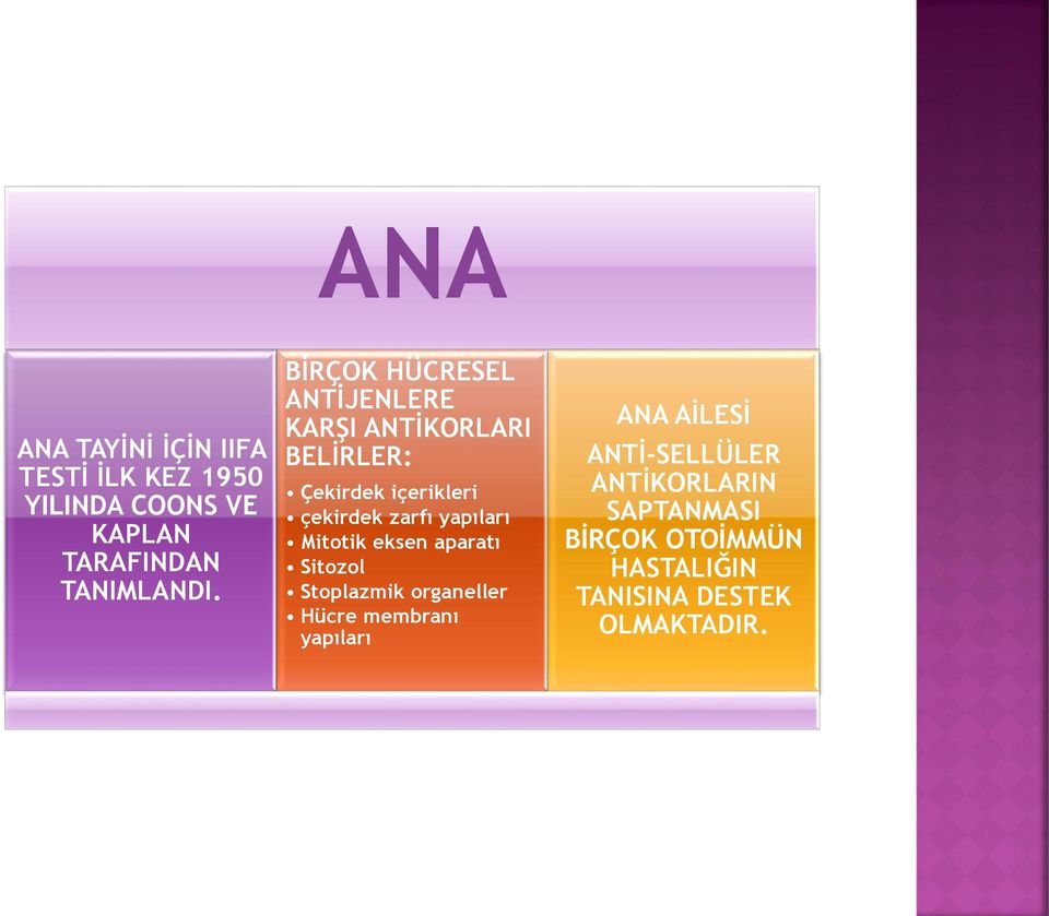 yapıları Mitotik eksen aparatı Sitozol Stoplazmik organeller Hücre membranı yapıları ANA