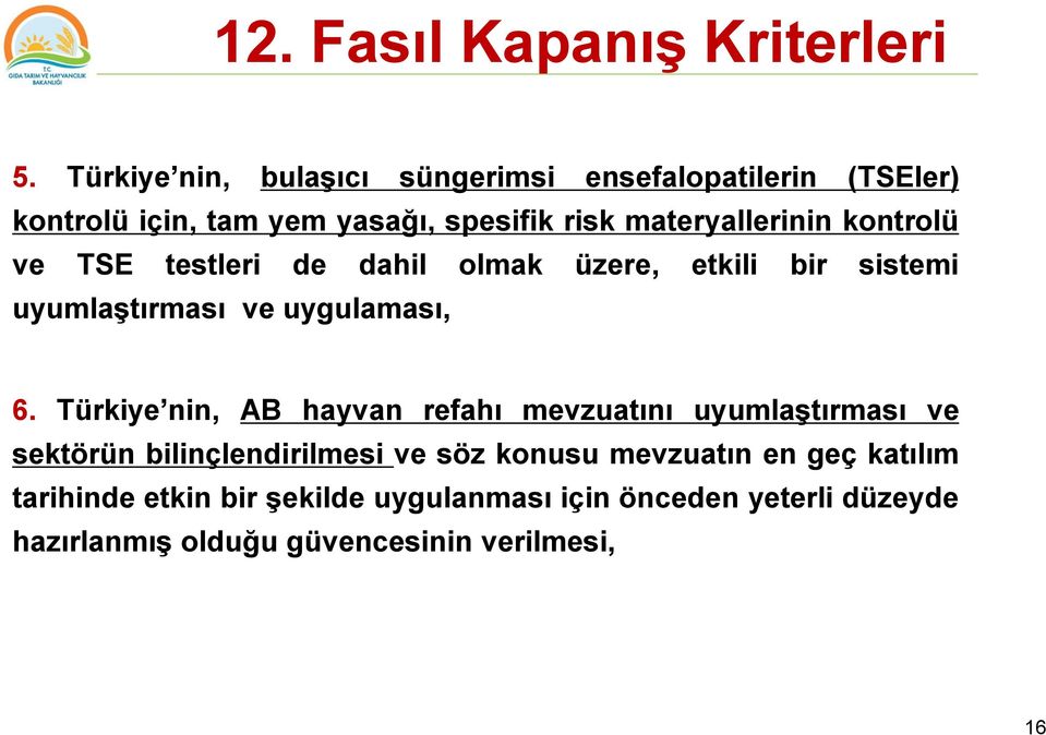 kontrolü ve TSE testleri de dahil olmak üzere, etkili bir sistemi uyumlaştırması ve uygulaması, 6.