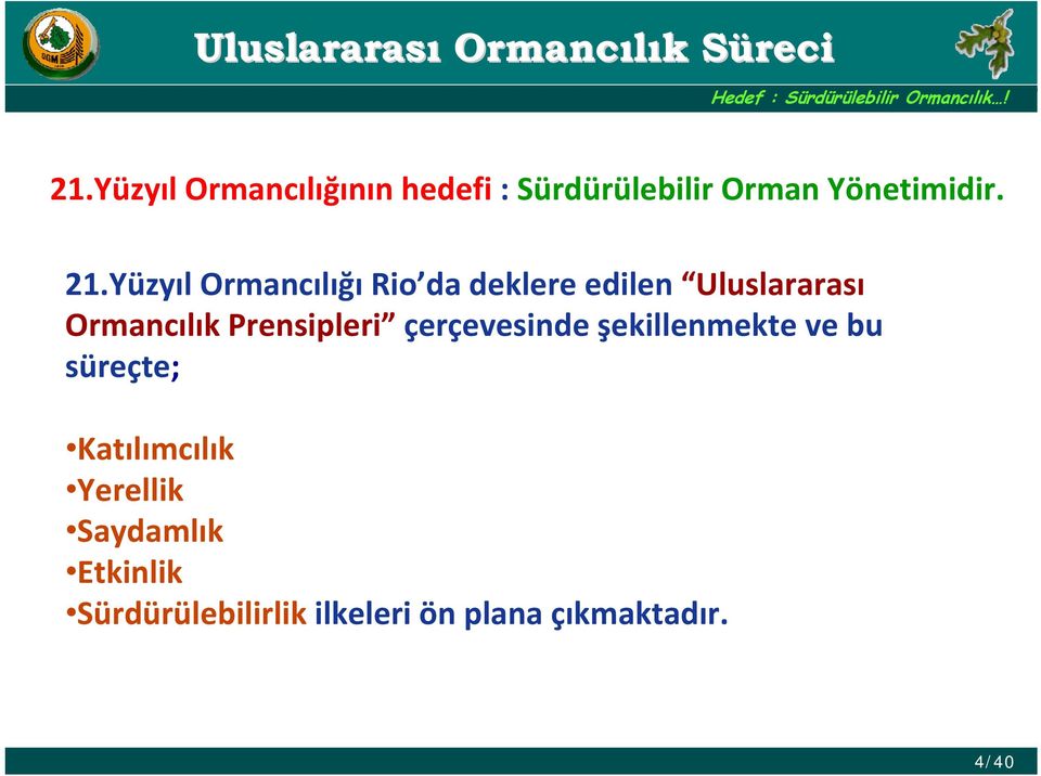 Yüzyıl Ormancılığı Rio da deklere edilen Uluslararası Ormancılık Prensipleri