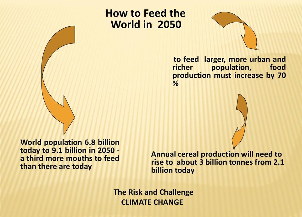 1 billion in 2050 - a third more mouths to feed than there are today Annual cereal
