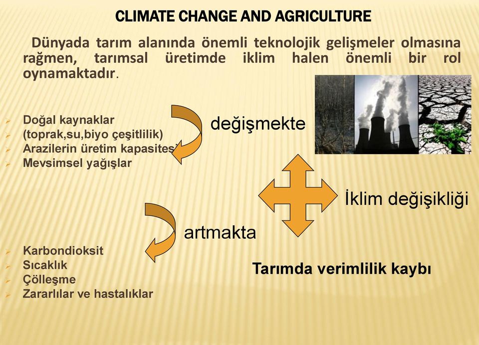 Doğal kaynaklar (toprak,su,biyo çeşitlilik) Arazilerin üretim kapasitesi Mevsimsel yağışlar