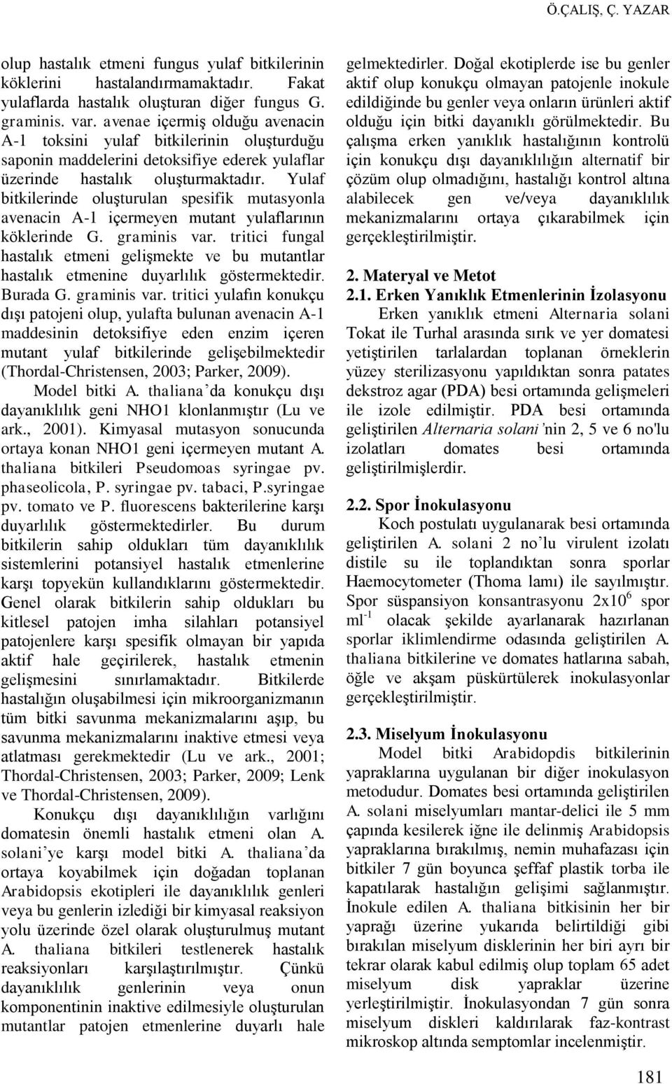 Yulaf bitkilerinde oluşturulan spesifik mutasyonla avenacin A-1 içermeyen mutant yulaflarının köklerinde G. graminis var.