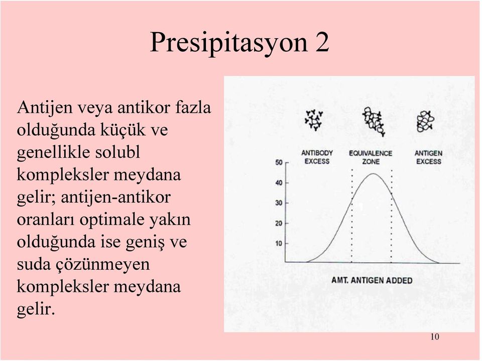 antijen-antikor oranları optimale yakın olduğunda ise