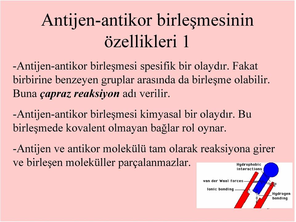 -Antijen-antikor birleşmesi kimyasal bir olaydır. Bu birleşmede kovalent olmayan bağlar rol oynar.