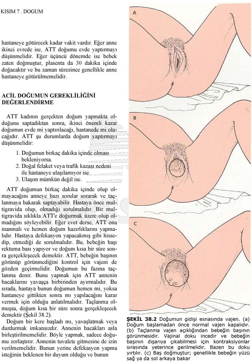 ACİL DOĞUMUN GEREKLİLİĞİNİ DEĞERLENDİRME ATT kadının gerçekten doğum yapmakta olduğunu saptadıktan sonra, ikinci önemli karar doğumun evde mi yaptırılacağı, hastanede mi olacağıdır.