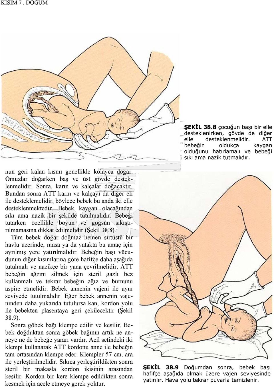 Bundan sonra ATT karın ve kalçayı da diğer eli ile desteklemelidir, böylece bebek bu anda iki elle desteklenmektedir. Bebek kaygan olacağından sıkı ama nazik bir şekilde tutulmalıdır.