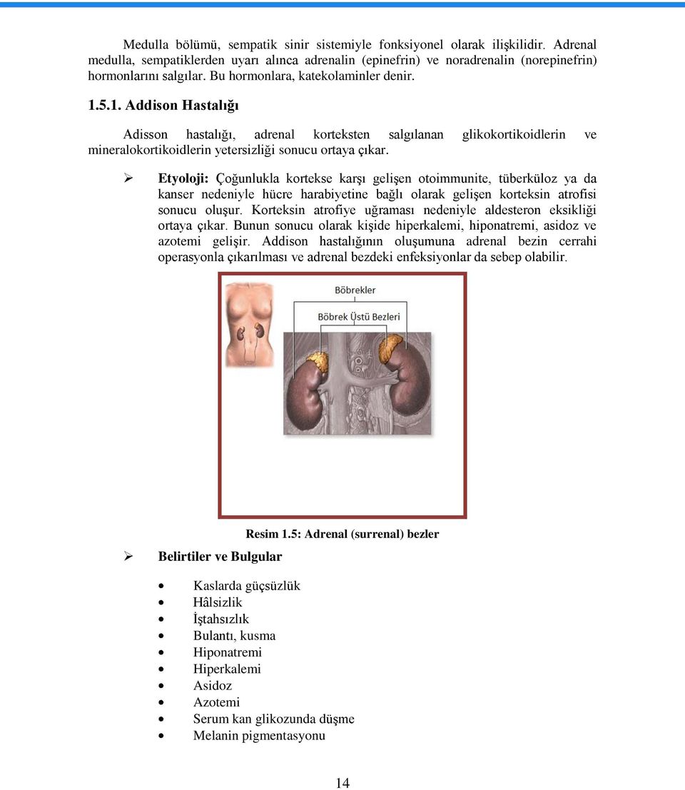 Etyoloji: Çoğunlukla kortekse karģı geliģen otoimmunite, tüberküloz ya da kanser nedeniyle hücre harabiyetine bağlı olarak geliģen korteksin atrofisi sonucu oluģur.