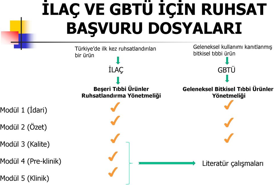 Ruhsatlandırma Yönetmeliği Geleneksel Bitkisel Tıbbi Ürünler Yönetmeliği Modül 1