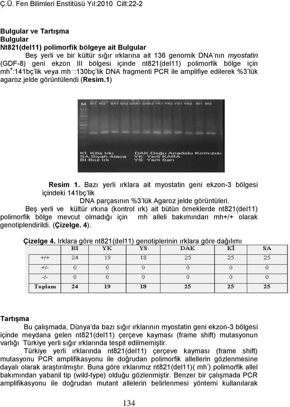 Bazı yerli ırklara ait myostatin geni ekzon-3 bölgesi içindeki 141bç lik DNA parçasının %3 lük Agaroz jelde görüntüleri.