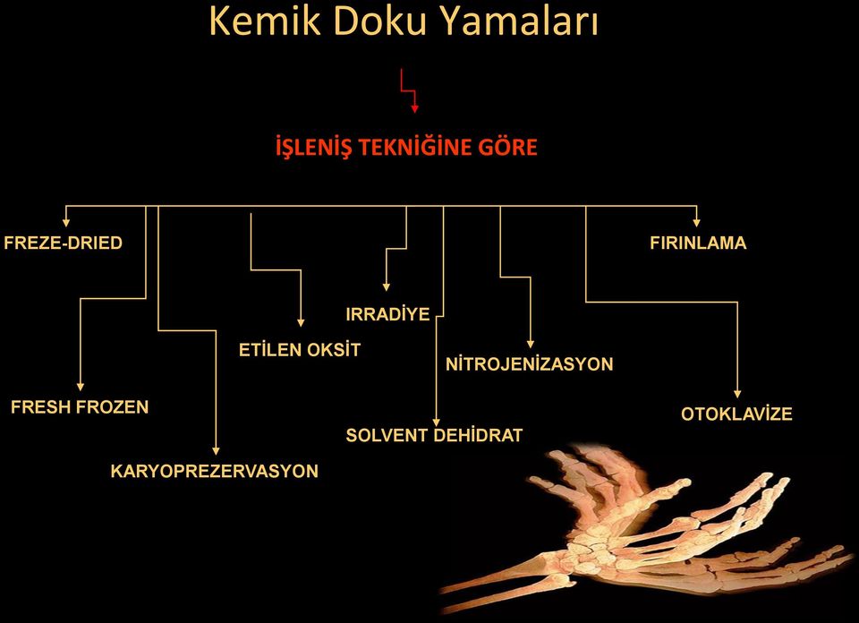 ETİLEN OKSİT NİTROJENİZASYON FRESH