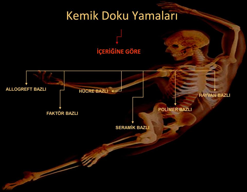 BAZLI HAYVAN BAZLI FAKTÖR