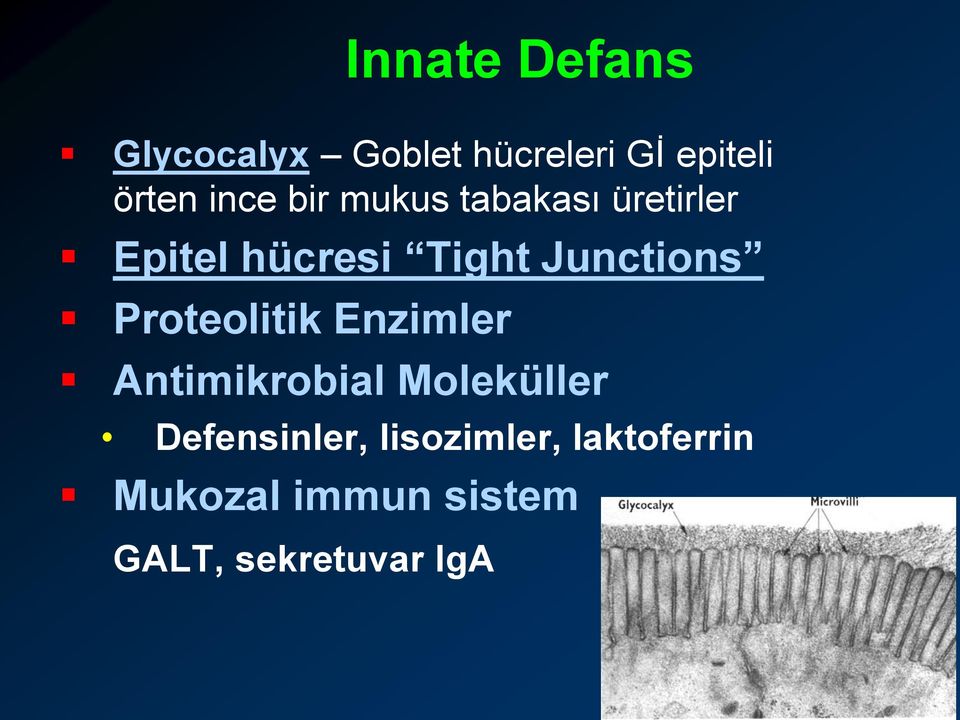 Junctions Proteolitik Enzimler Antimikrobial Moleküller