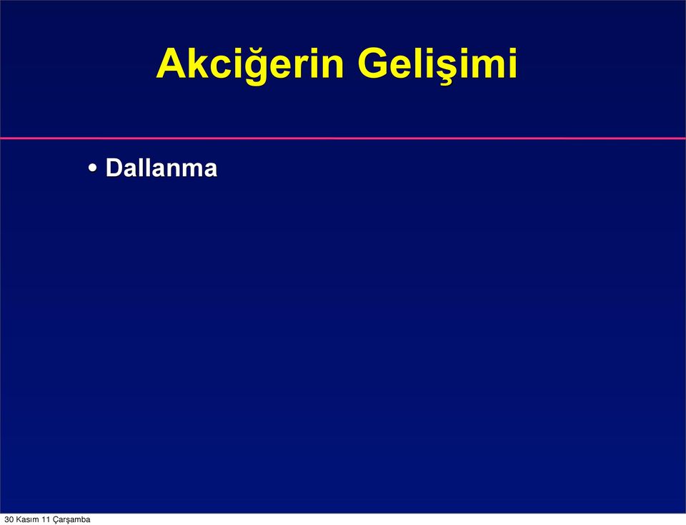 Dallanma