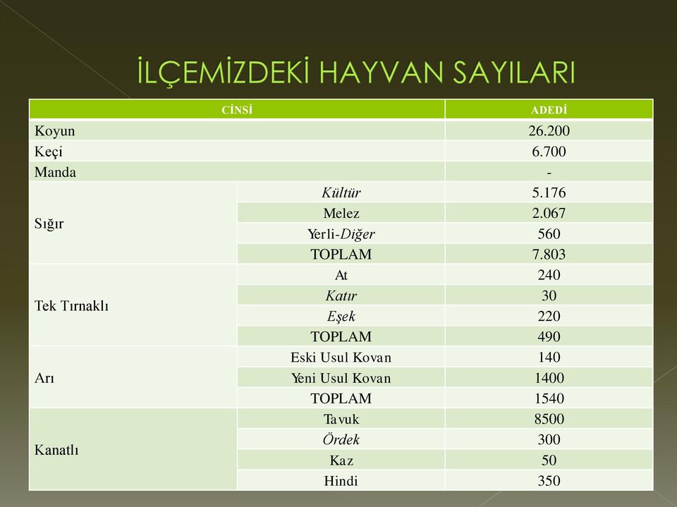 803 At 240 Tek Tırnaklı Katır 30 Eşek 220 TOPLAM 490 Eski Usul