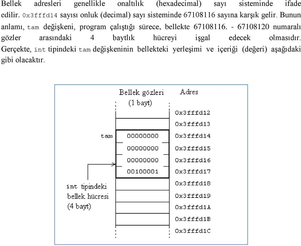 Bunun anlamı, tam değişkeni, program çalıştığı sürece, bellekte 67108116.