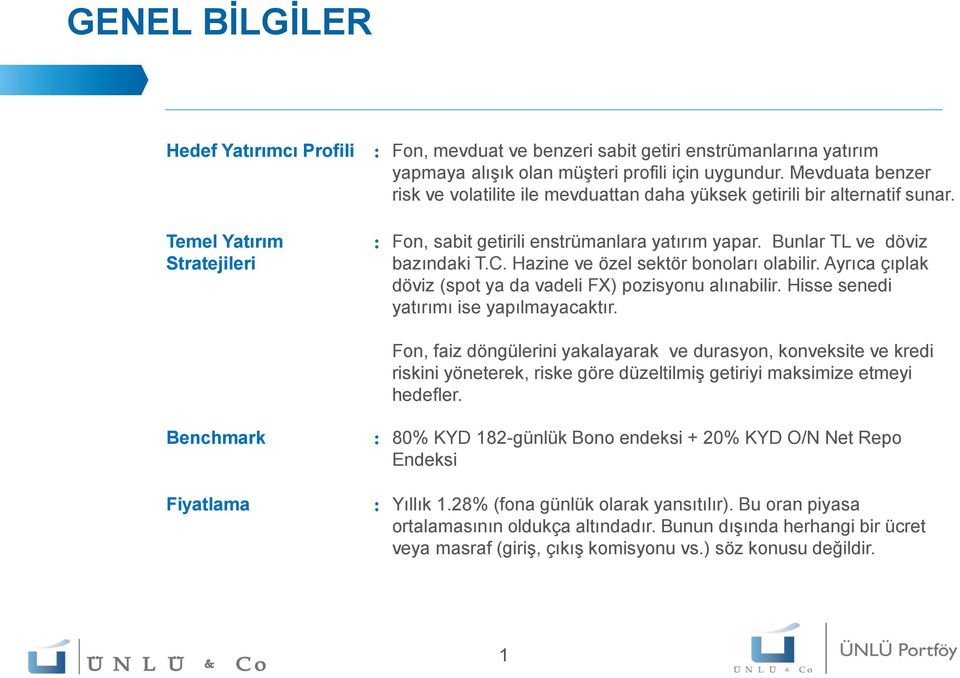 Hazine ve özel sektör bonoları olabilir. Ayrıca çıplak döviz (spot ya da vadeli FX) pozisyonu alınabilir. Hisse senedi yatırımı ise yapılmayacaktır.