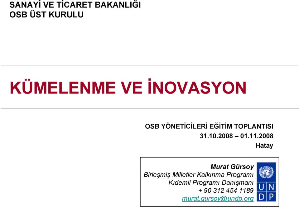 2008 Hatay Murat Gürsoy Birleşmiş Milletler Kalkınma Programı