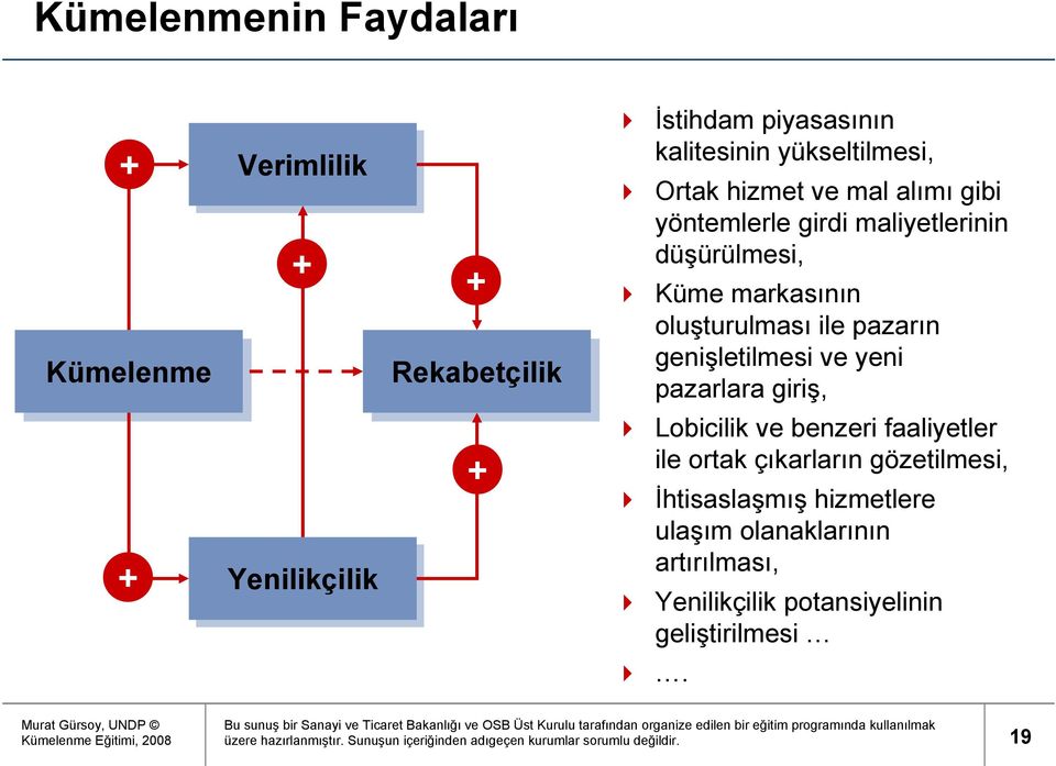 yeni pazarlara giriş, Lobicilik ve benzeri faaliyetler ile ortak çıkarların gözetilmesi, İhtisaslaşmış hizmetlere ulaşım olanaklarının