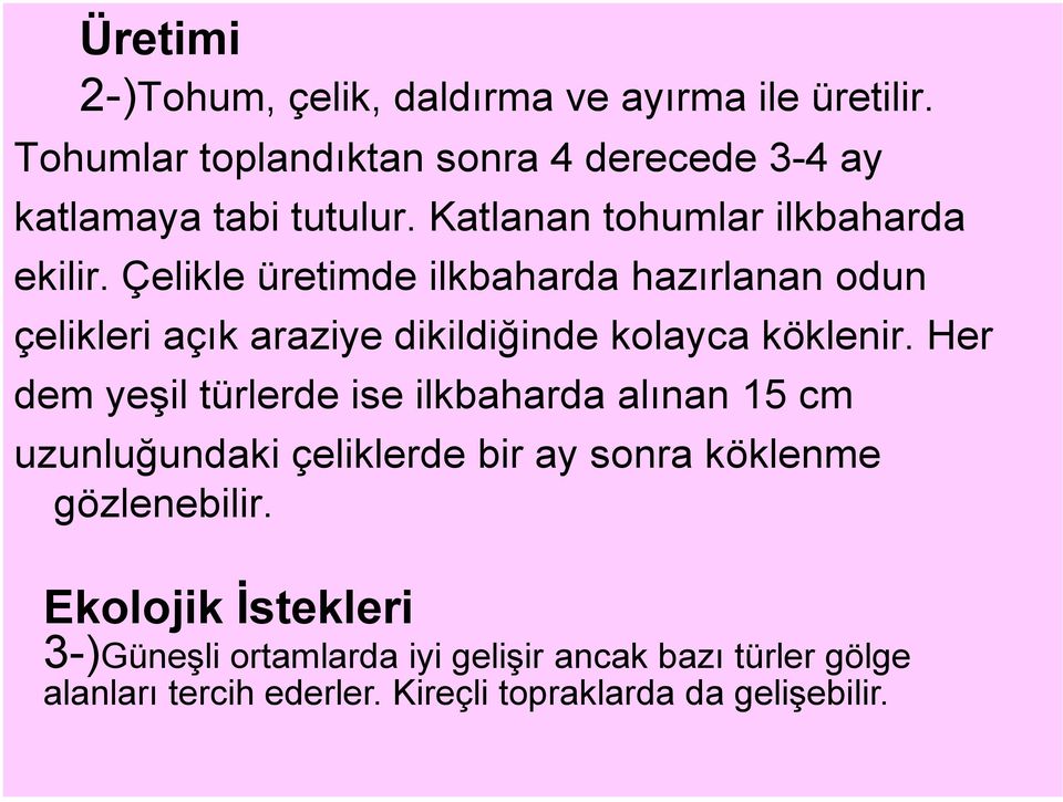 Çelikle üretimde ilkbaharda hazırlanan odun çelikleri açık araziye dikildiğinde kolayca köklenir.