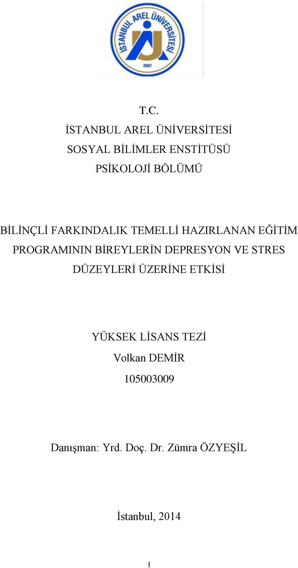 BİREYLERİN DEPRESYON VE STRES DÜZEYLERİ ÜZERİNE ETKİSİ YÜKSEK LİSANS