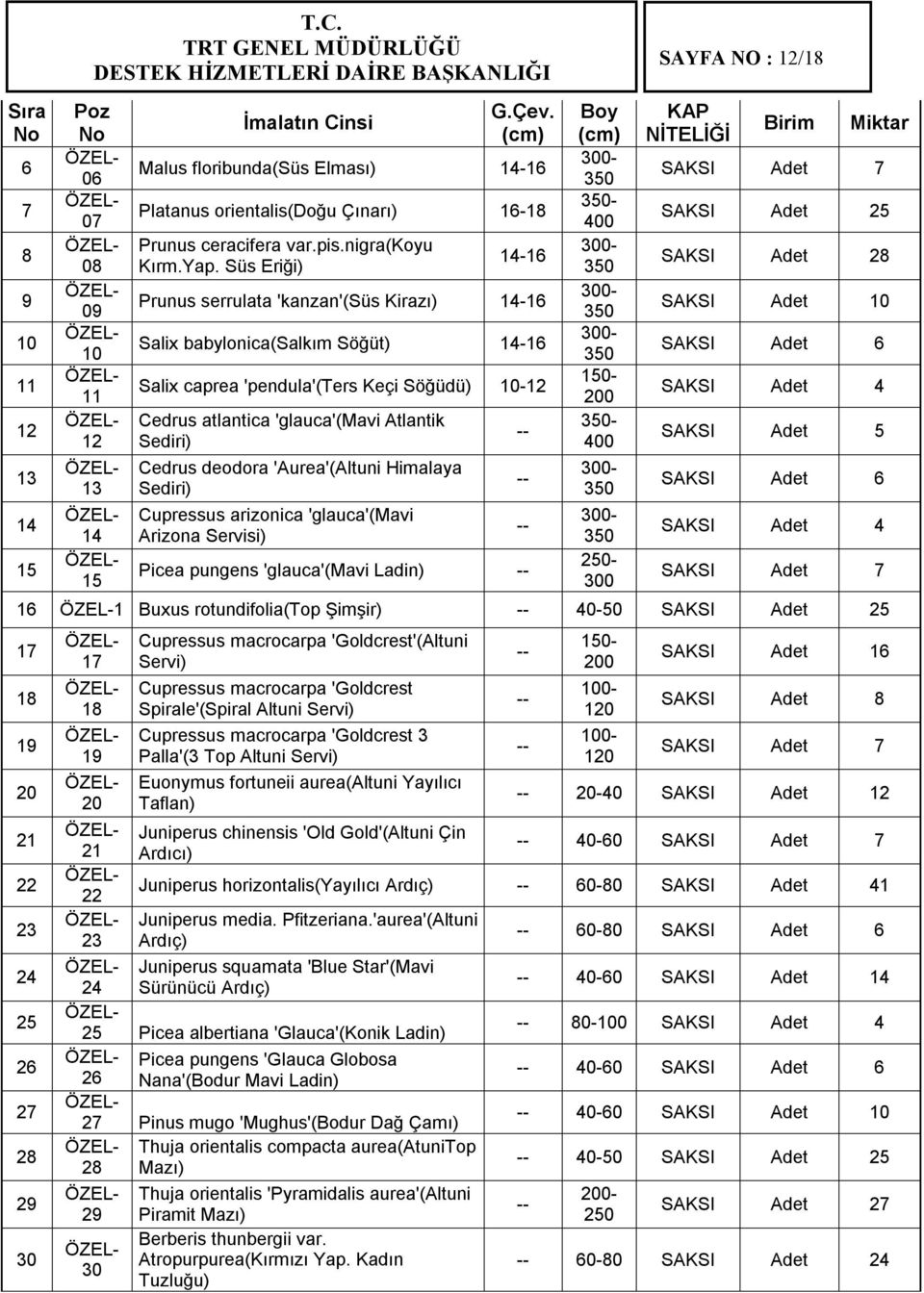 Cedrus deodora 'Aurea'(Altuni Himalaya Sediri) Cupressus arizonica 'glauca'(mavi Arizona Servisi) Picea pungens 'glauca'(mavi Ladin) -- -- -- -- Poz No 06 07 08 09 10 11 12 Boy (cm) 300-350 350-400