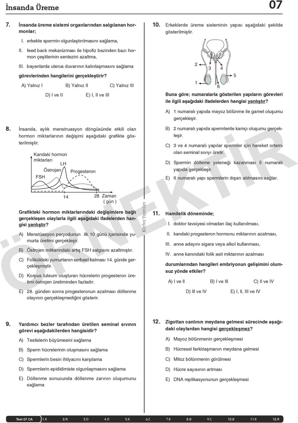 A) Yalnız I B) Yalnız II C) Yalnız III D) I ve II E) I, II ve III 10. Erkeklerde üreme sisteminin yapısı aşağıdaki şekilde gösterilmiştir.