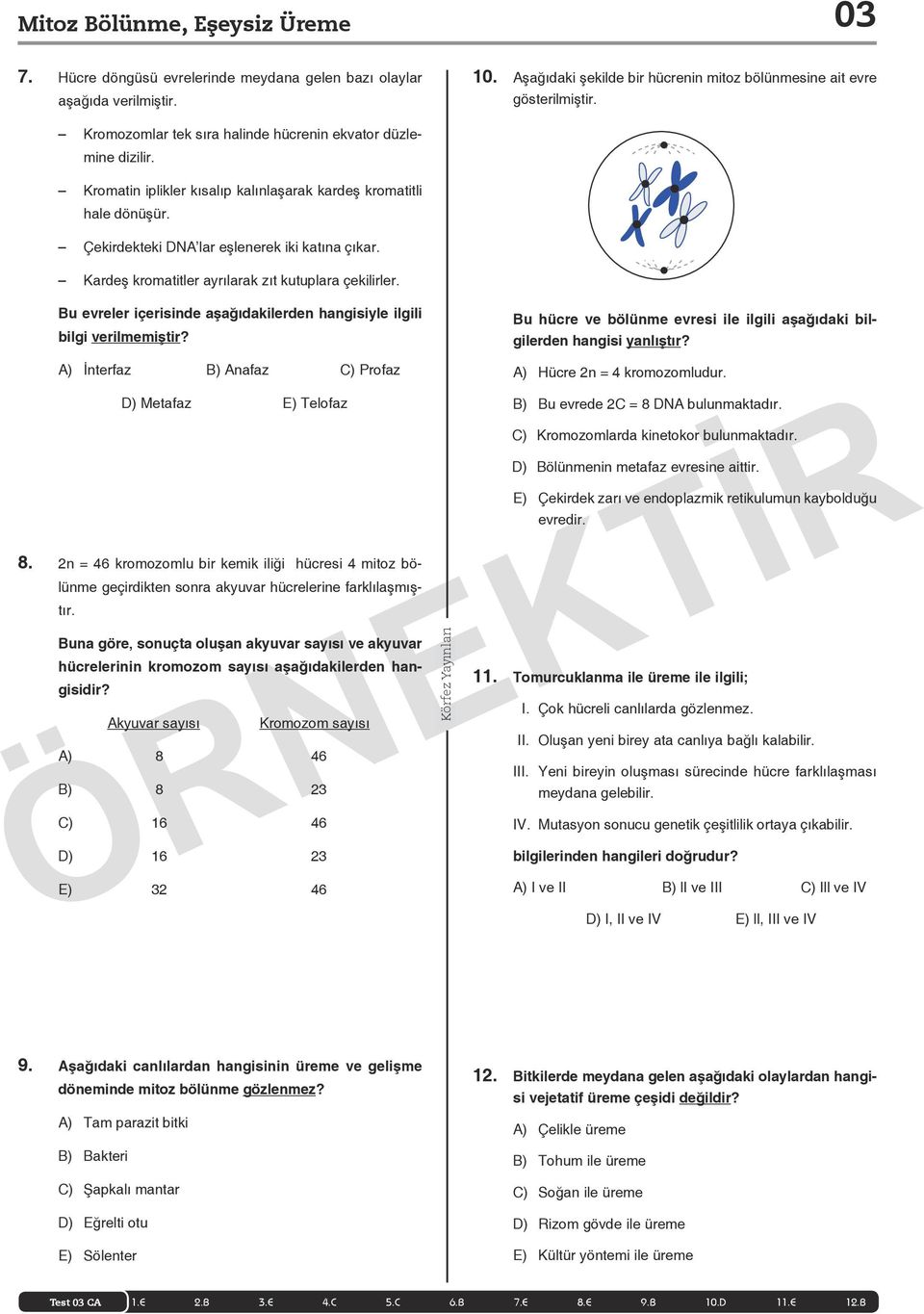 Kardeş kromatitler ayrılarak zıt kutuplara çekilirler. Bu evreler içerisinde aşağıdakilerden hangisiyle ilgili bilgi verilmemiştir?