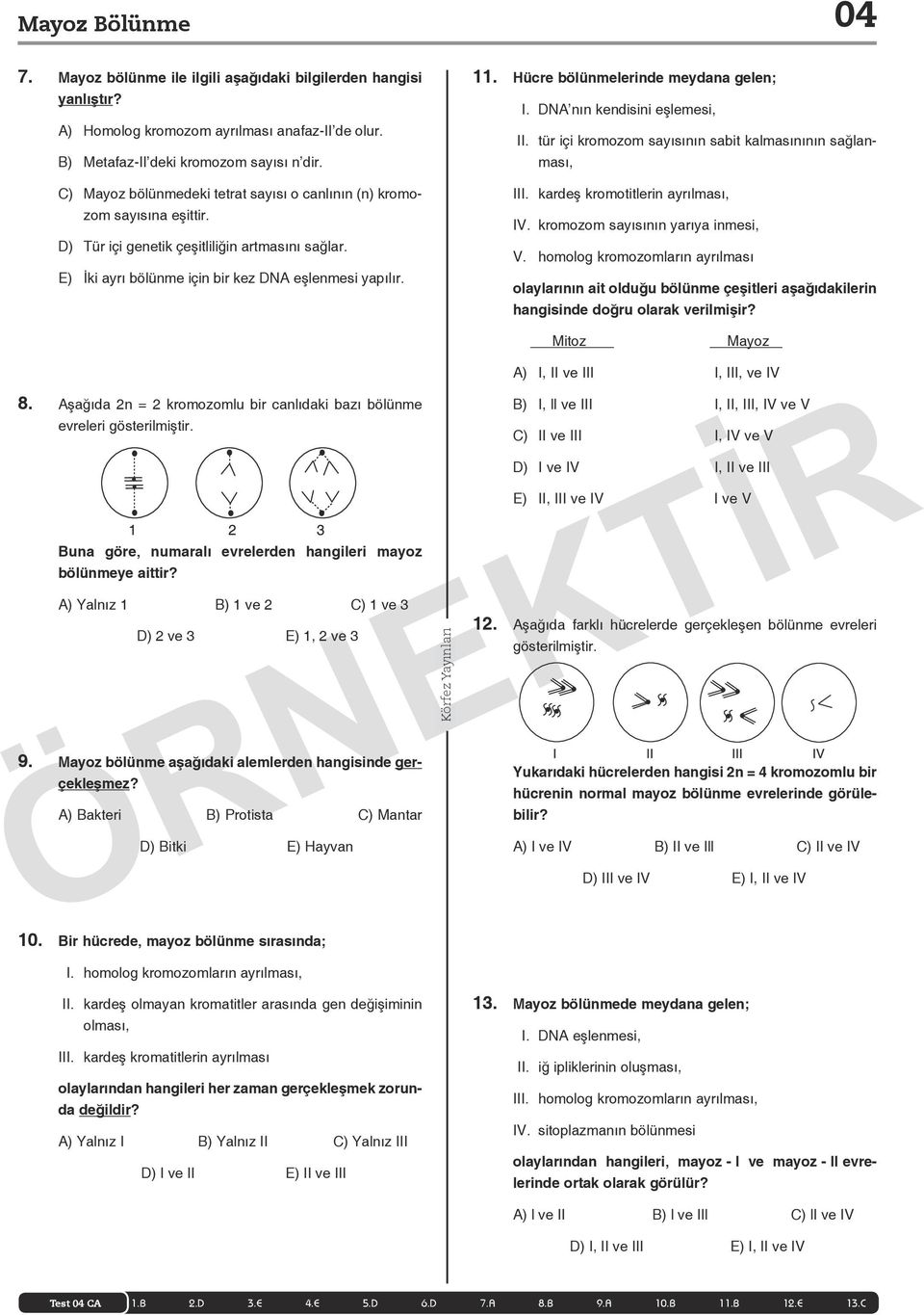 Hücre bölünmelerinde meydana gelen; I. DNA nın kendisini eşlemesi, II. tür içi kromozom sayısının sabit kalmasınının sağlanması, III. kardeş kromotitlerin ayrılması, IV.