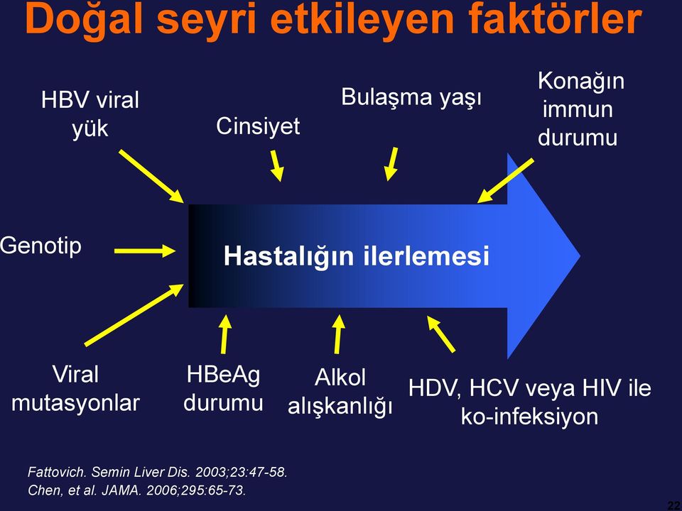 HBeAg durumu Alkol alışkanlığı HDV, HCV veya HIV ile ko-infeksiyon