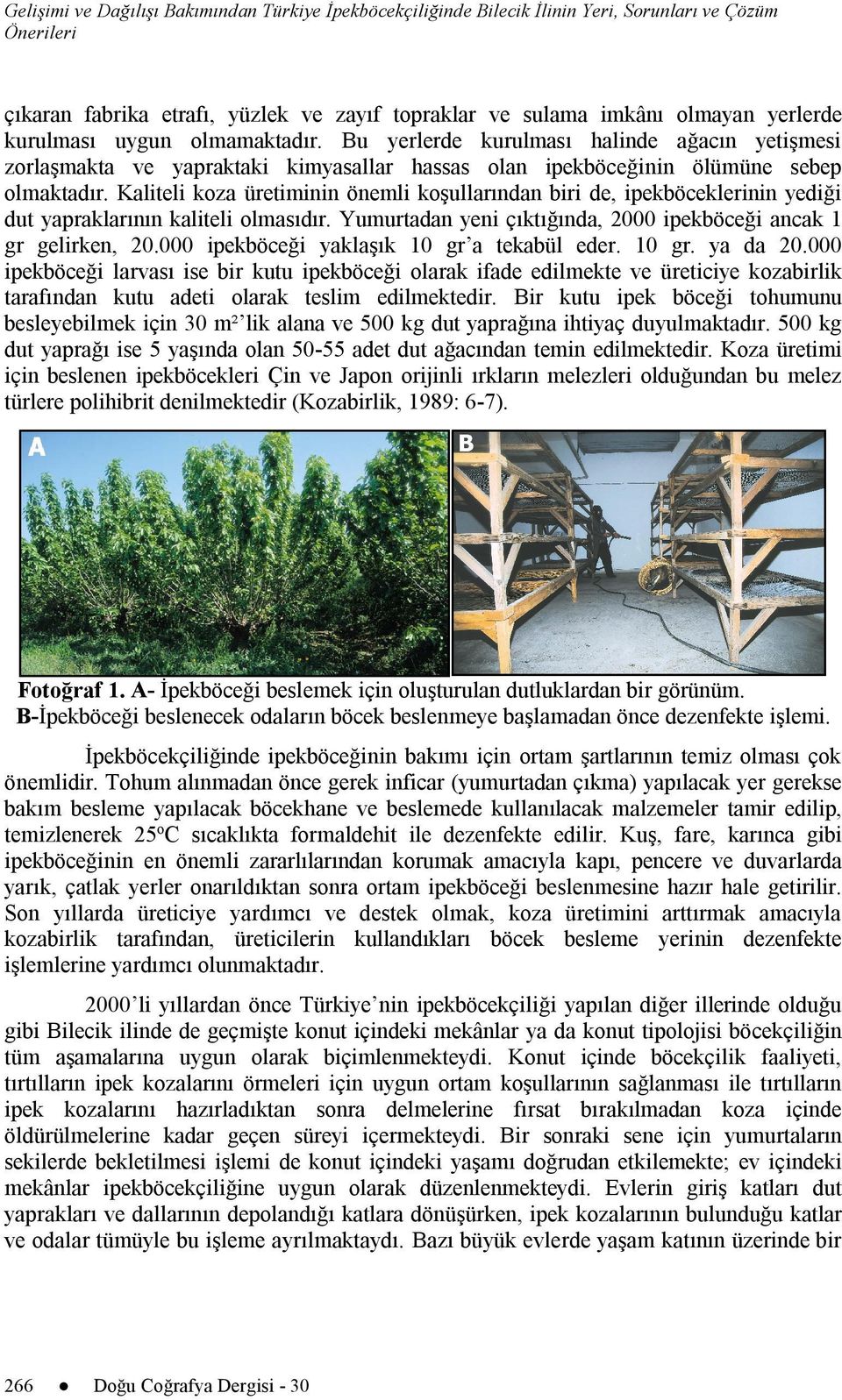 Kaliteli koza üretiminin önemli koşullarından biri de, ipekböceklerinin yediği dut yapraklarının kaliteli olmasıdır. Yumurtadan yeni çıktığında, 2000 ipekböceği ancak 1 gr gelirken, 20.