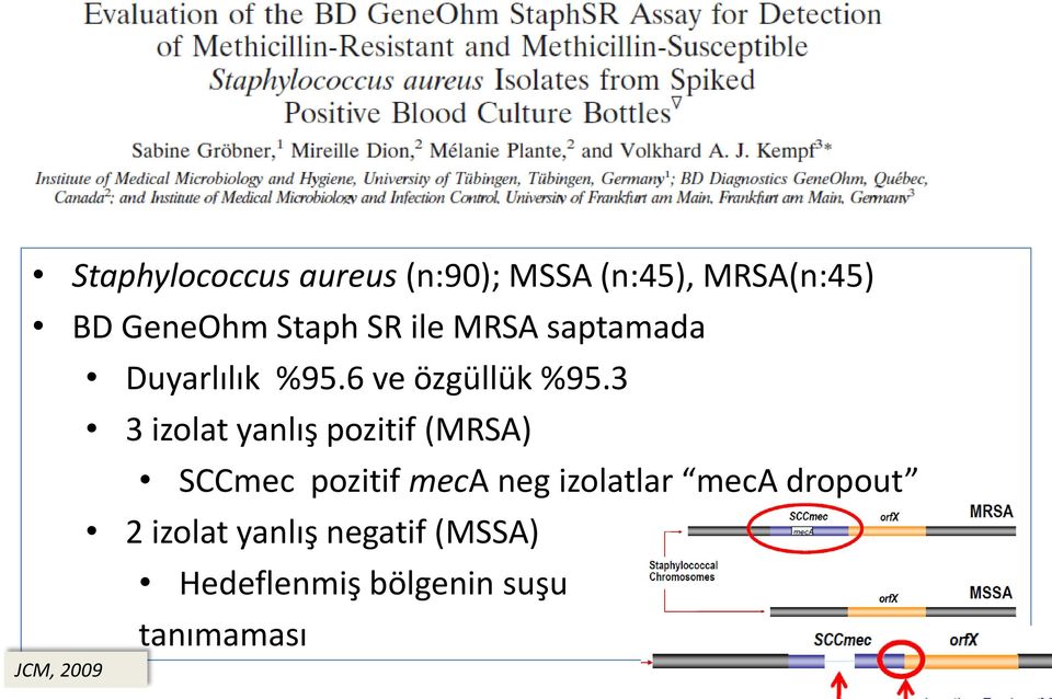 3 3 izolat yanlış pozitif (MRSA) SCCmec pozitif meca neg izolatlar