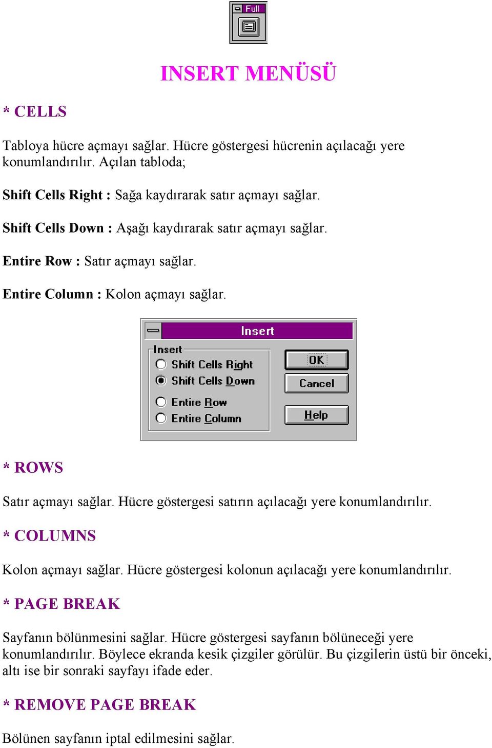 Hücre göstergesi satırın açılacağı yere konumlandırılır. * COLUMNS Kolon açmayı sağlar. Hücre göstergesi kolonun açılacağı yere konumlandırılır. * PAGE BREAK Sayfanın bölünmesini sağlar.