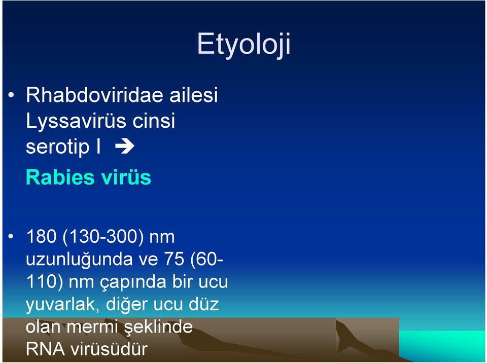 uzunluğunda ve 75 (60-110) nm çapında bir ucu