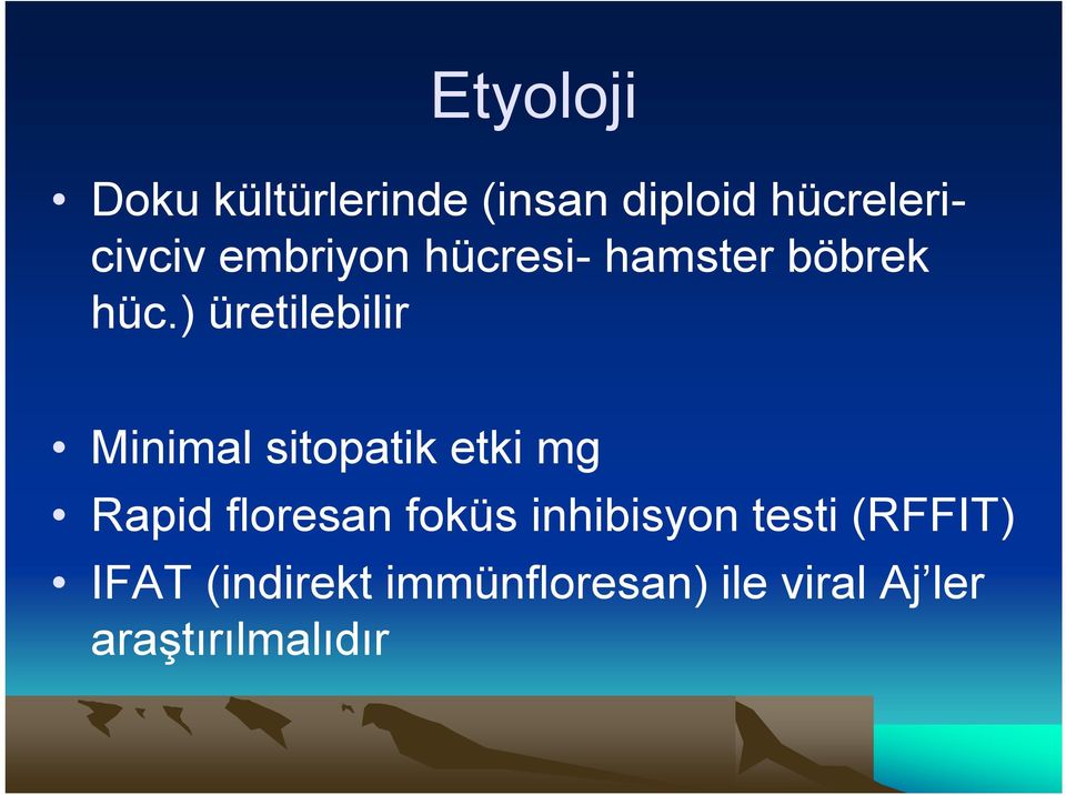 ) üretilebilir Minimal sitopatik etki mg Rapid floresan foküs