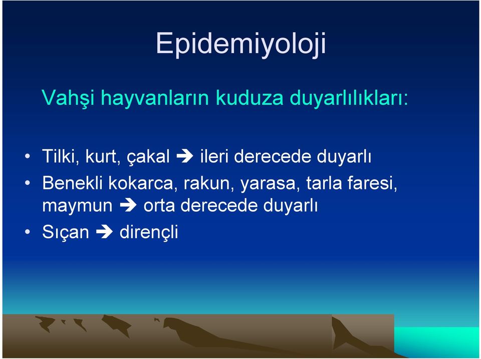 derecede duyarlı Benekli kokarca, rakun,