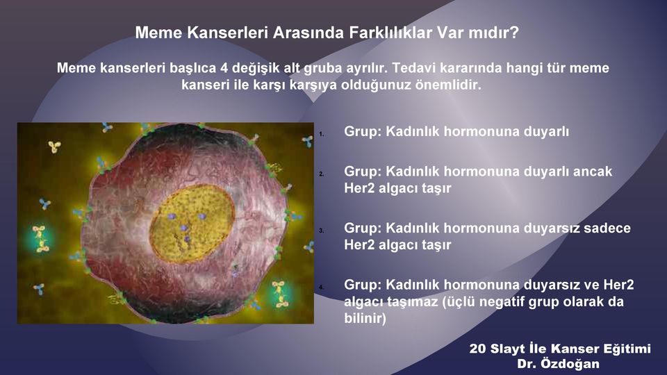 Grup: Kadınlık hormonuna duyarlı 2. Grup: Kadınlık hormonuna duyarlı ancak Her2 algacı taşır 3.