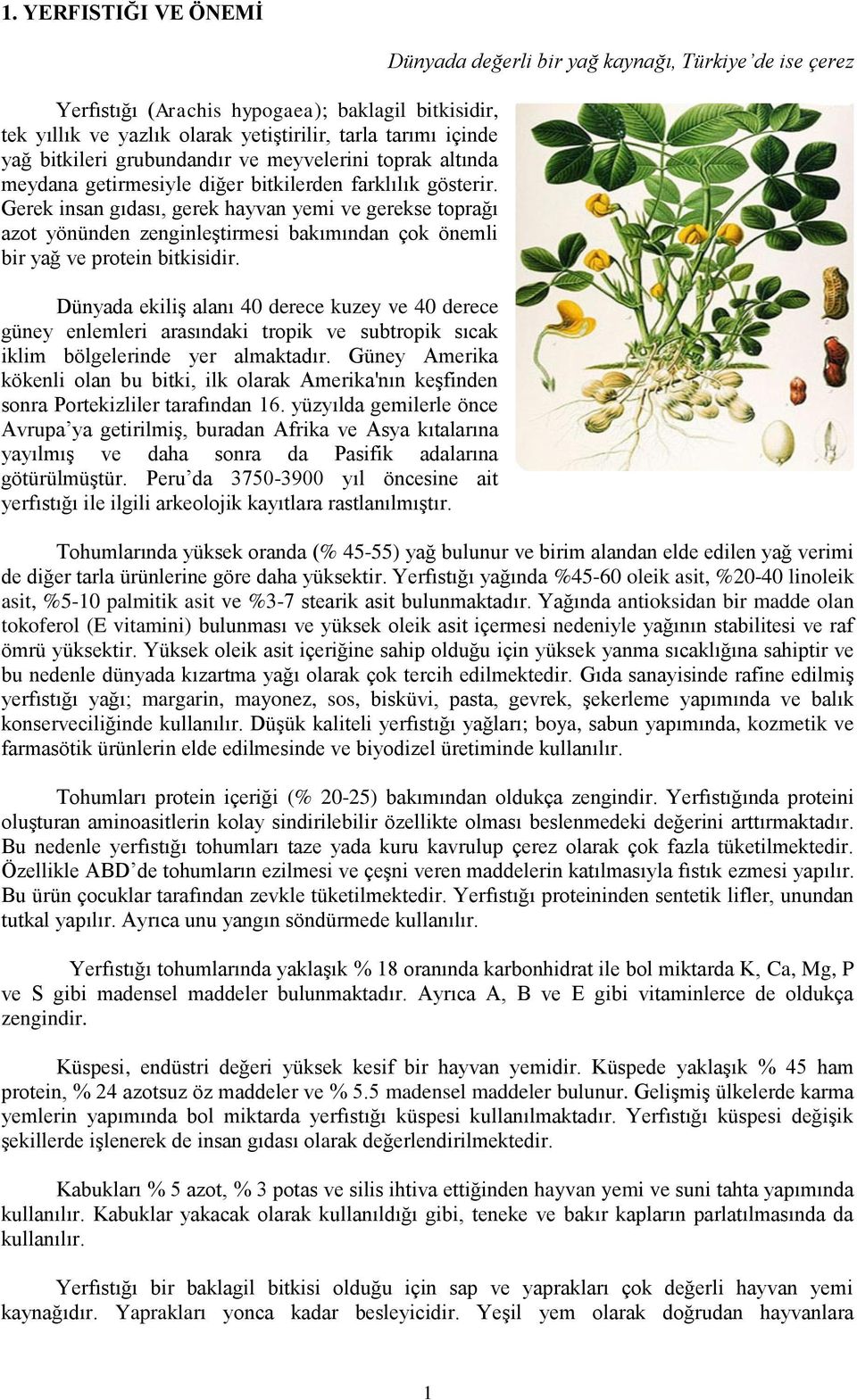 Dünyada ekiliş alanı 40 derece kuzey ve 40 derece güney enlemleri arasındaki tropik ve subtropik sıcak iklim bölgelerinde yer almaktadır.