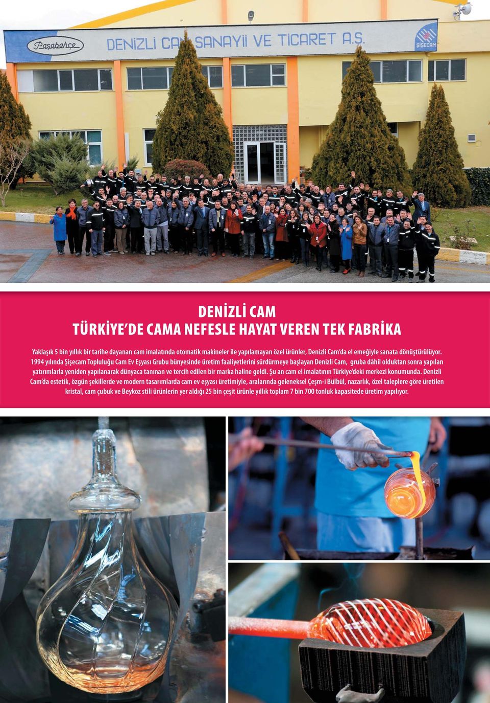 1994 yılında Şişecam Topluluğu Cam Ev Eşyası Grubu bünyesinde üretim faaliyetlerini sürdürmeye başlayan Denizli Cam, gruba dâhil olduktan sonra yapılan yatırımlarla yeniden yapılanarak dünyaca