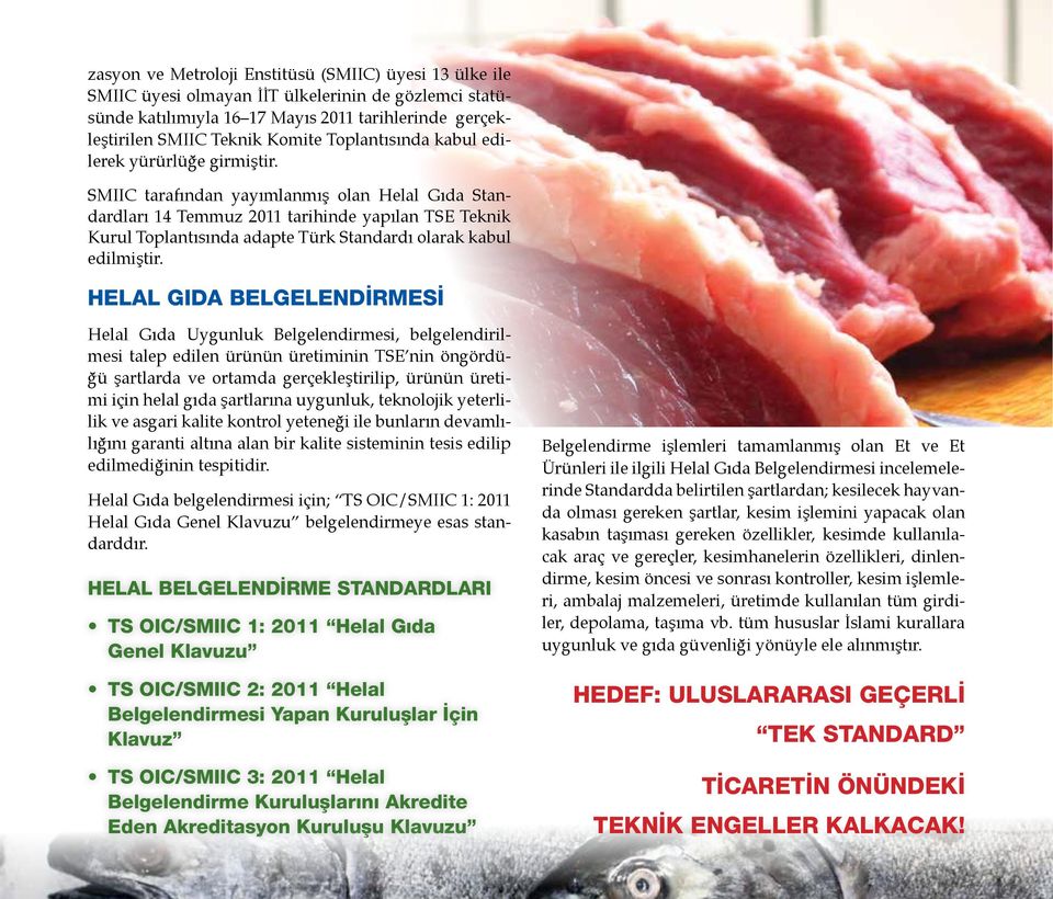SMIIC tarafından yayımlanmış olan Helal Gıda Standardları 14 Temmuz 2011 tarihinde yapılan TSE Teknik Kurul Toplantısında adapte Türk Standardı olarak kabul edilmiştir.
