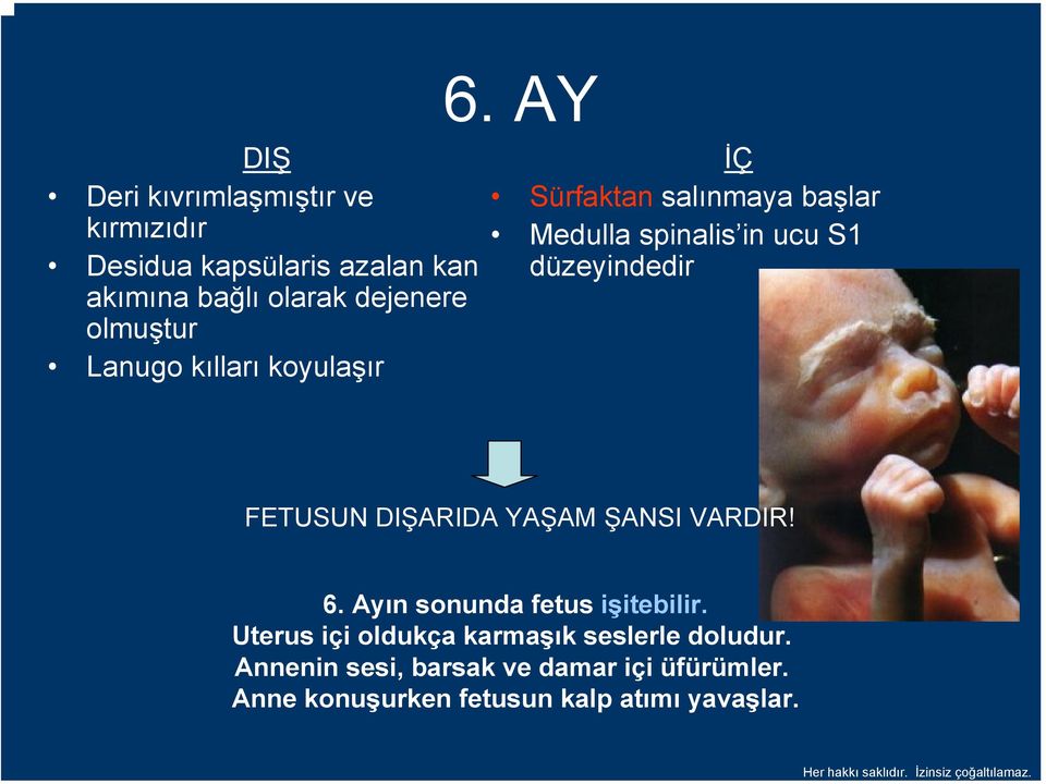 düzeyindedir FETUSUN DIŞARIDA YAŞAM ŞANSI VARDIR! 6. Ayın sonunda fetus işitebilir.