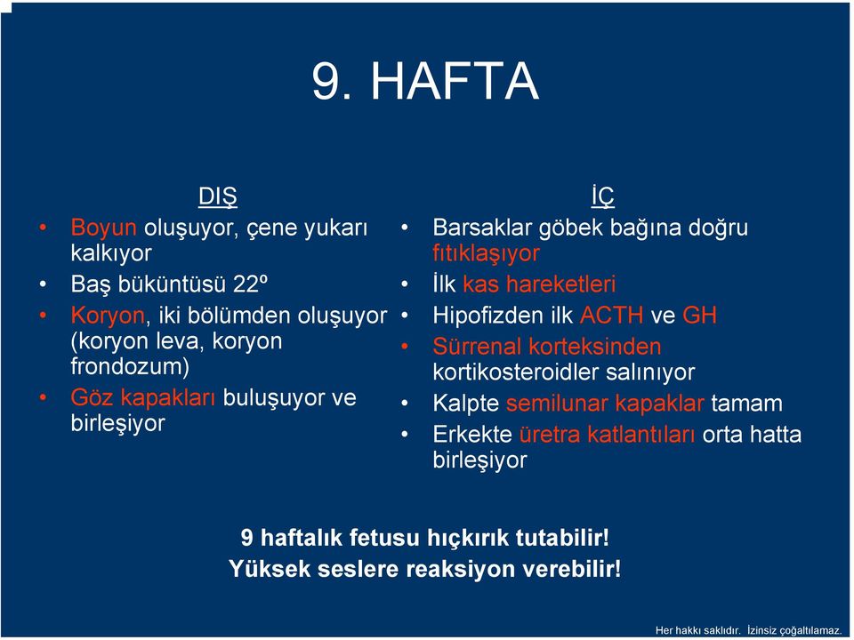 hareketleri Hipofizden ilk ACTH ve GH Sürrenal korteksinden kortikosteroidler salınıyor Kalpte semilunar kapaklar