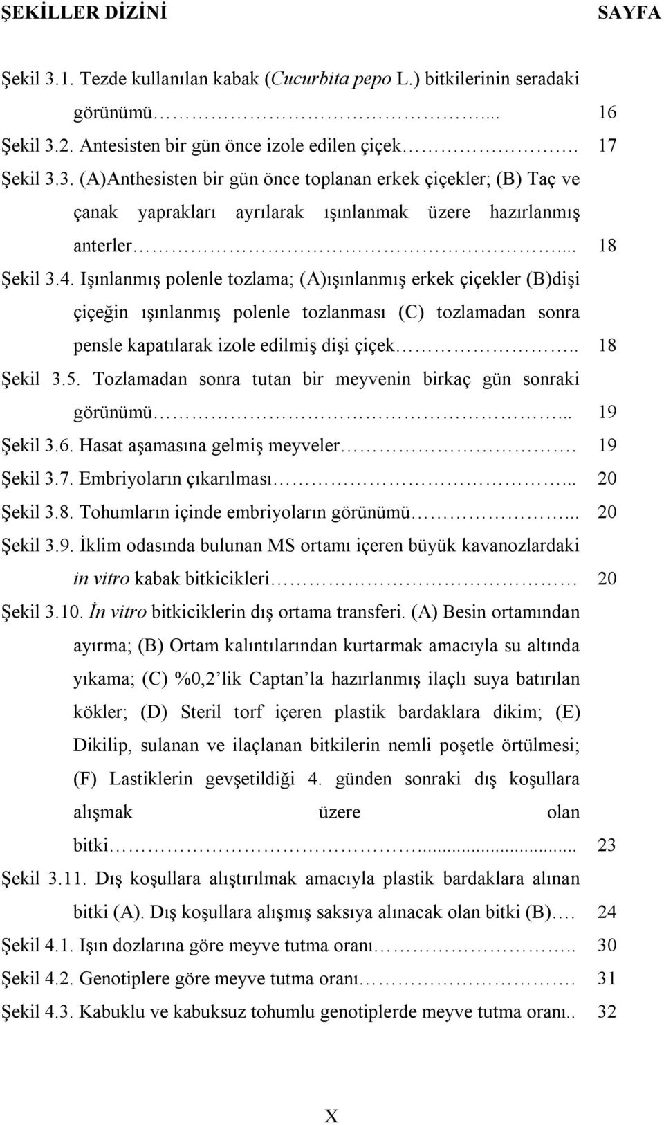 Tozlamadan sonra tutan bir meyvenin birkaç gün sonraki görünümü... Şekil 3.6. Hasat aşamasına gelmiş meyveler. Şekil 3.7. Embriyoların çıkarılması... Şekil 3.8.