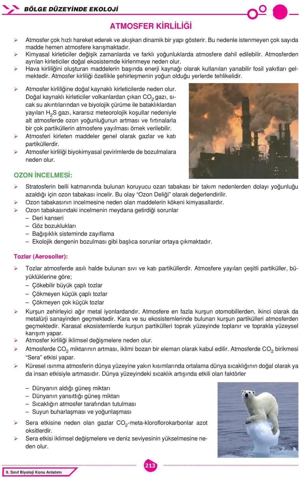 Hava kirliliğini oluşturan maddelerin başında enerji kaynağı olarak kullanılan yanabilir fosil yakıtları gelmektedir. Atmosfer kirliliği özellikle şehirleşmenin yoğun olduğu yerlerde tehlikelidir.