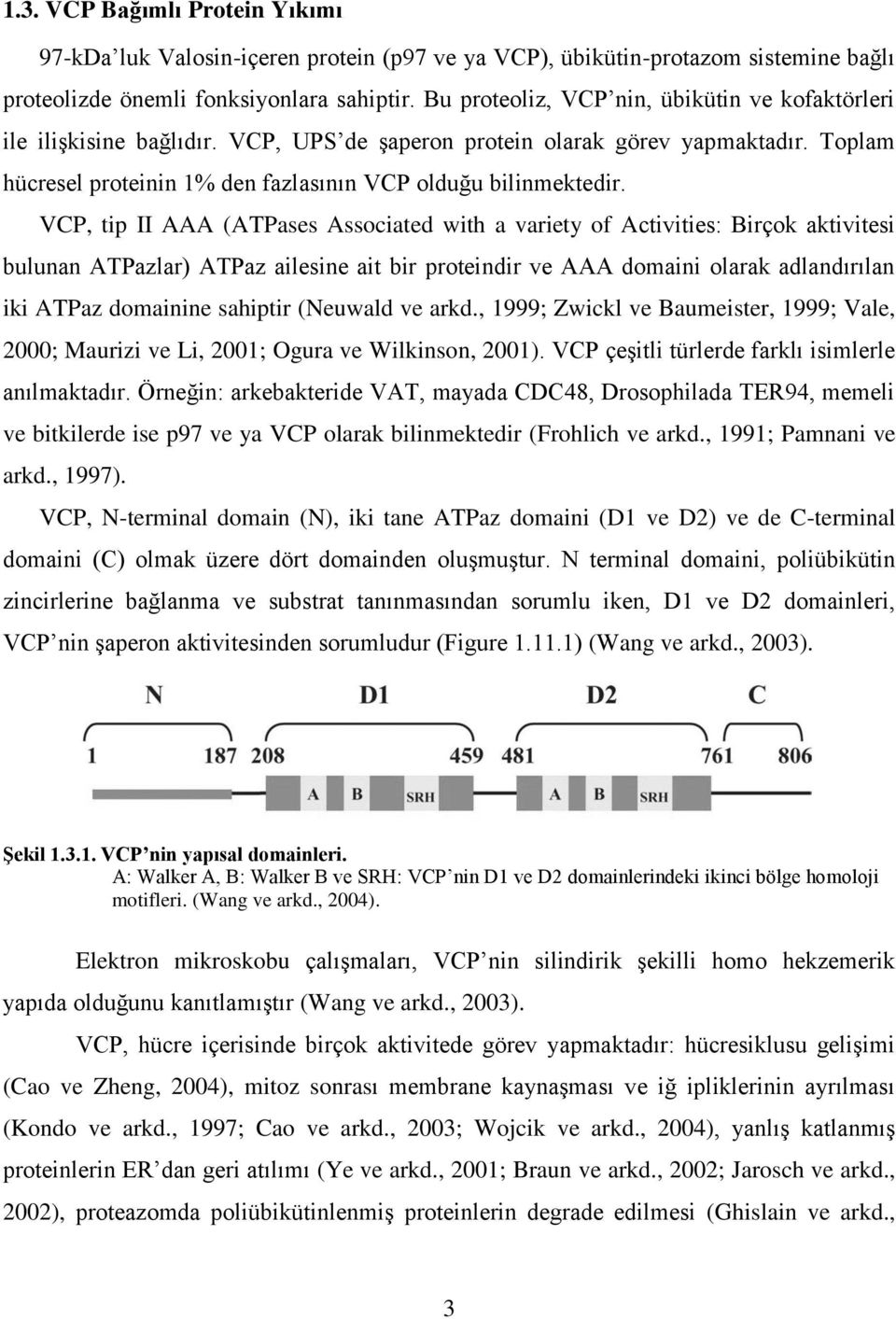 VCP, tip II AAA (ATPases Associated with a variety of Activities: Birçok aktivitesi bulunan ATPazlar) ATPaz ailesine ait bir proteindir ve AAA domaini olarak adlandırılan iki ATPaz domainine sahiptir