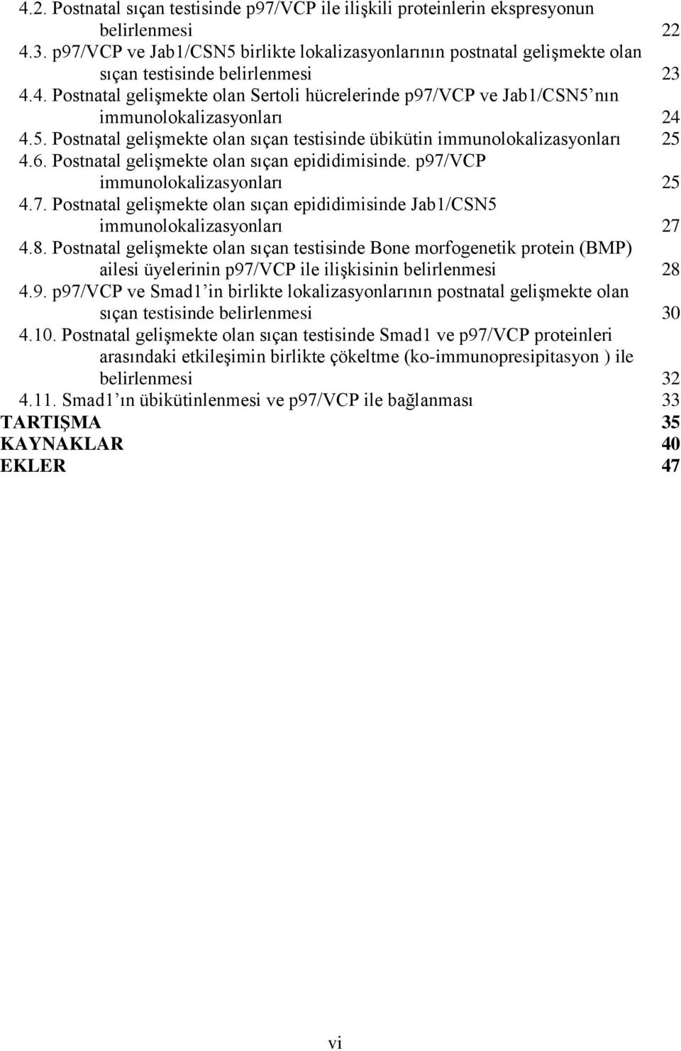 4. Postnatal gelişmekte olan Sertoli hücrelerinde p97/vcp ve Jab1/CSN5 nın immunolokalizasyonları 24 4.5. Postnatal gelişmekte olan sıçan testisinde übikütin immunolokalizasyonları 25 4.6.