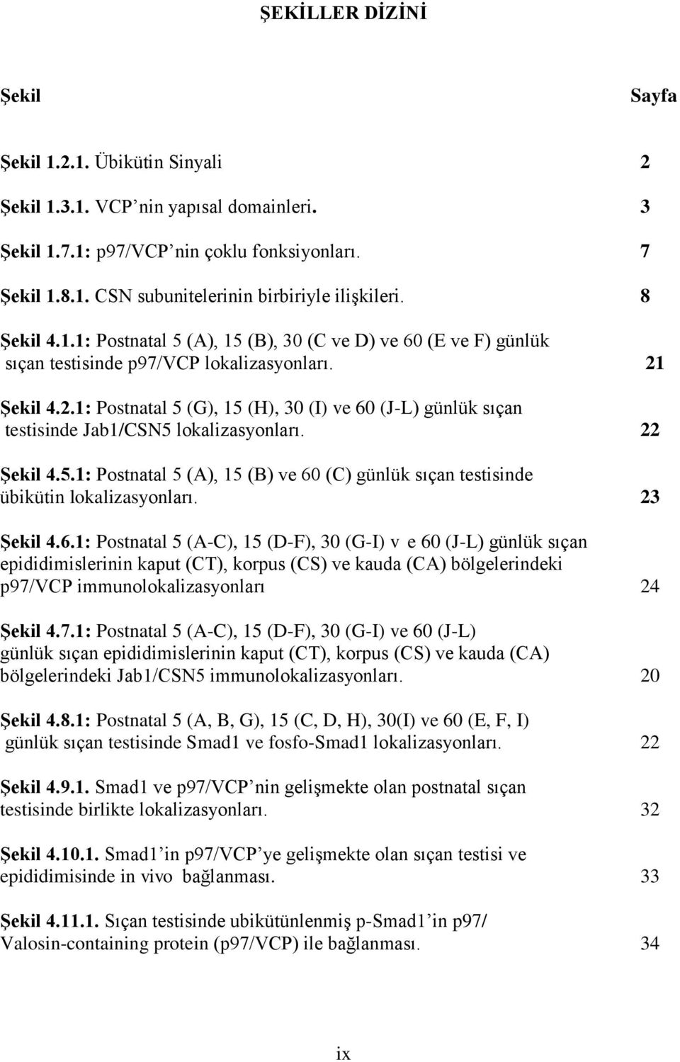 Şekil 4.2.1: Postnatal 5 (G), 15 (H), 30 (I) ve 60 (J-L) günlük sıçan testisinde Jab1/CSN5 lokalizasyonları. 22 Şekil 4.5.1: Postnatal 5 (A), 15 (B) ve 60 (C) günlük sıçan testisinde übikütin lokalizasyonları.