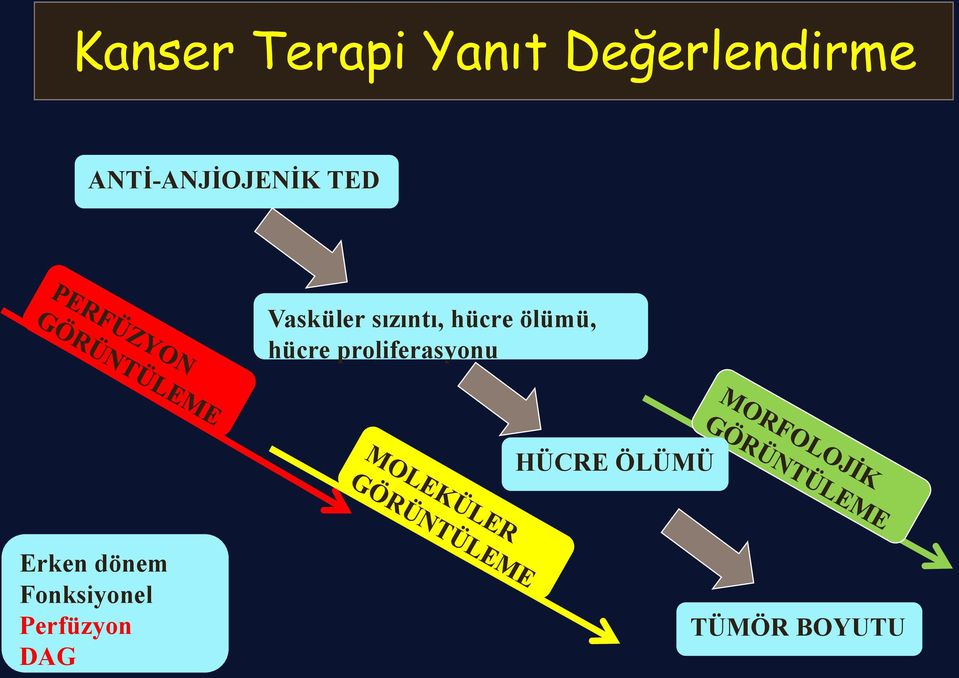 hücre ölümü, hücre proliferasyonu HÜCRE